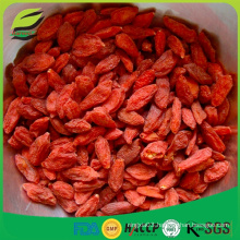 Goji fruit extraction dried fruit goji Berry